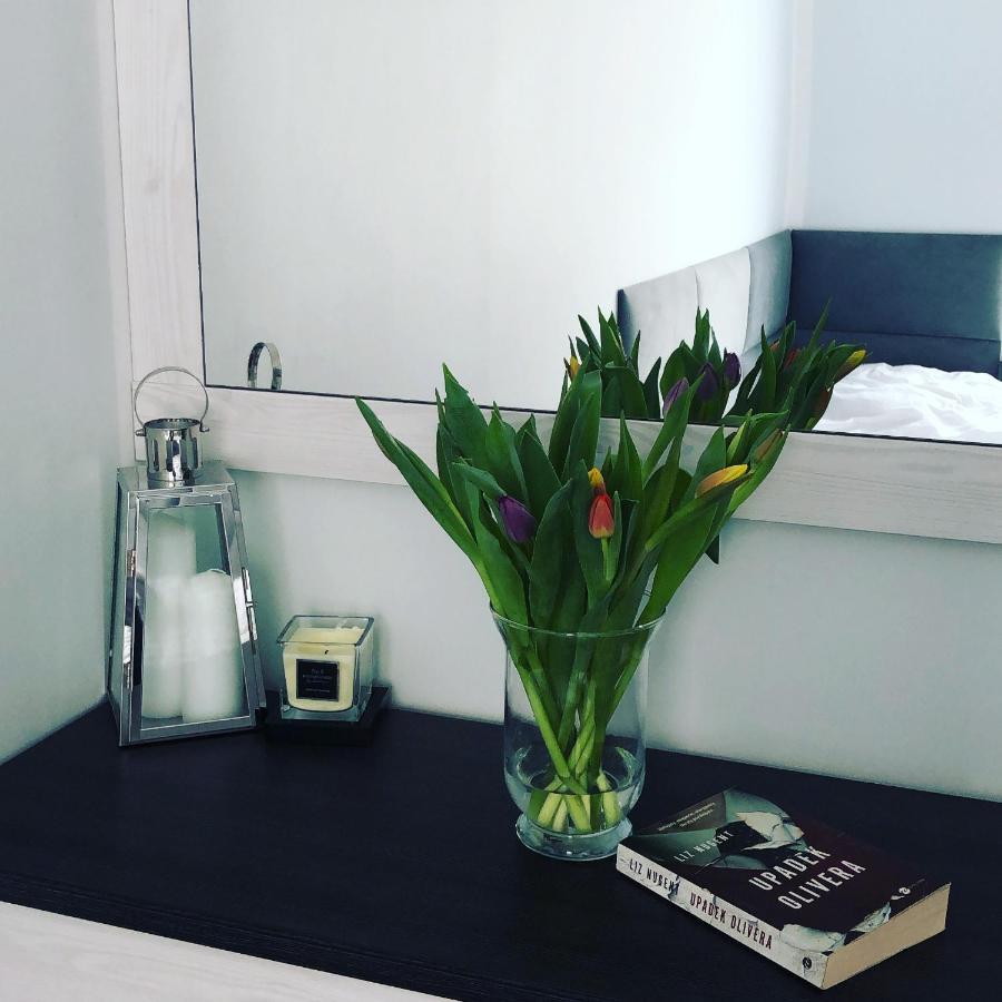 Apartament Happiness Jelenia Góra Eksteriør bilde
